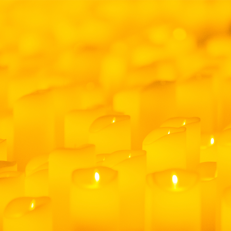 Candlelight Prince 2